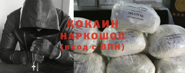 PSILOCYBIN Нязепетровск