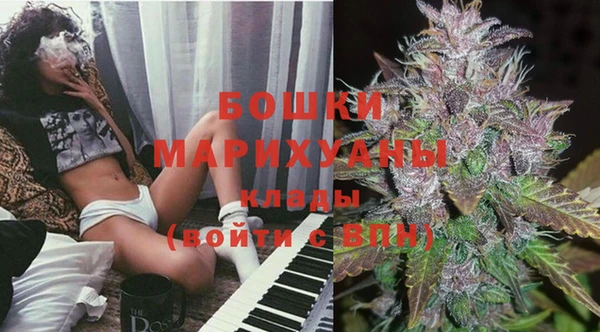PSILOCYBIN Нязепетровск