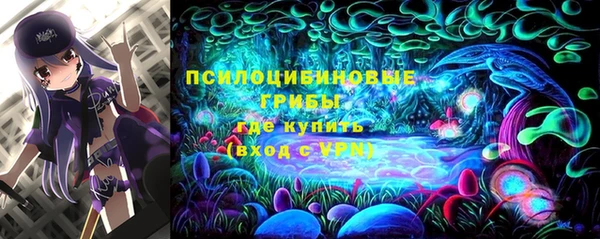 стафф Бердск