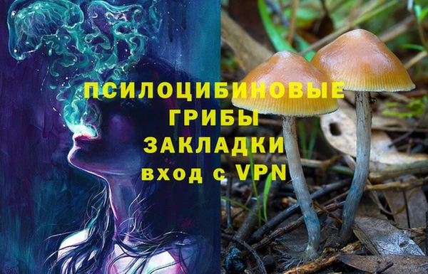бутират Ачинск