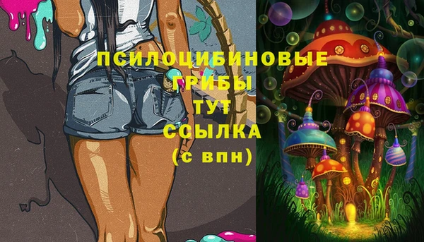 кристаллы Няндома