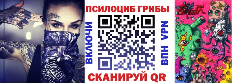 ОМГ ОМГ зеркало  Новотроицк  Галлюциногенные грибы мицелий 
