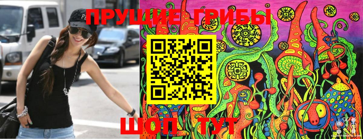 Новотроицк  Псилоцибиновые грибы Psilocybe  Вход с VPN 