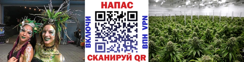 как найти закладки  Новотроицк  маркетплейс телеграм  МАРИХУАНА Amnesia 